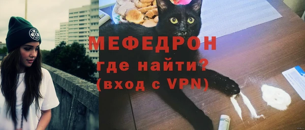 твердый Гусев
