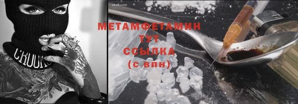 твердый Гусев