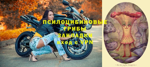 твердый Гусев
