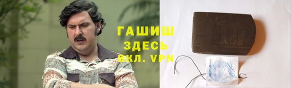 твердый Гусев