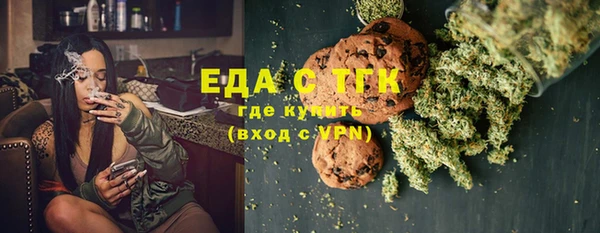 твердый Гусев