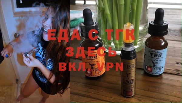 твердый Гусев