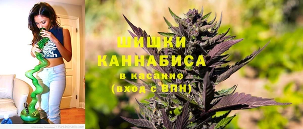 твердый Гусев