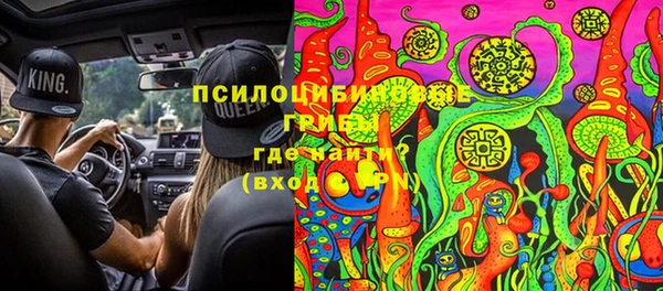 ешки Гусь-Хрустальный