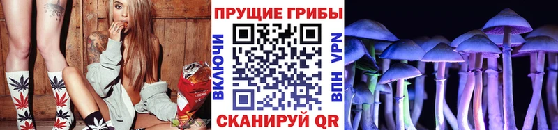 Псилоцибиновые грибы Psilocybine cubensis  как найти закладки  Горячий Ключ 
